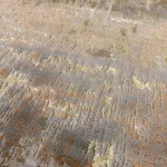 ASY Aurora 120x170cm Dune tepih AU01