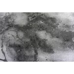BER ELITE 23270 Sivi 200X290cm Tepih
