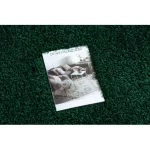 tepih SOFFI shaggy 2-3cm üveg zelena 200x290 cm