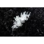tepih FLUFFY 2370 shaggy pontok - antracit / bijela 140x190 cm