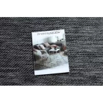 tepih COLOR 47202900 SISAL siva / siva 160x230 cm