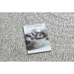 Fonott sizal flat tepih 48832367 Körök, pontok krem / siva 80x150 cm