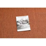 Fonott sizal flat tepih 48663/120 terakotakotta SIMA 200x290 cm