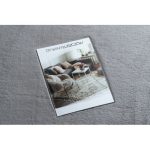 tepih BUNNY siva 60x100 cm