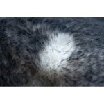 Modern, mosható tepih LAPIN shaggy, csúszásgátló elefántcsont / crne 180x270 cm