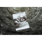 Modern FLIM 008-B2 shaggy tepih, körök - siva 160x220 cm