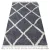 tepih BERBER CROSS B5950 siva / bijela Rojt shaggy 120x170 cm