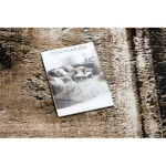 Modern DE LUXE 634 vintage - siva / arany 120x170 cm tepih