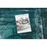 Modern DE LUXE 634 vintage - zelena / antracit 160x220 cm tepih