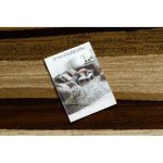  Kab. Kraljevski tepih 5374 Val - bež / smeđi 300x400 cm