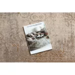  NAIN tepih Ornament vintage 7699/51655 bež / smeđi 80x150 cm