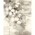  Ber. MYRA 1532 bež 80 x 150 cm moderni tepih
