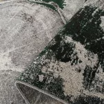  Tepih Boja Otto 04 sivo-zelena 80 x 150 cm