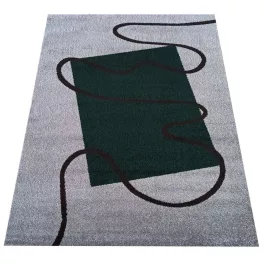 Tepih Boja Otto 08 sivo-zelena 160 x 220 cm