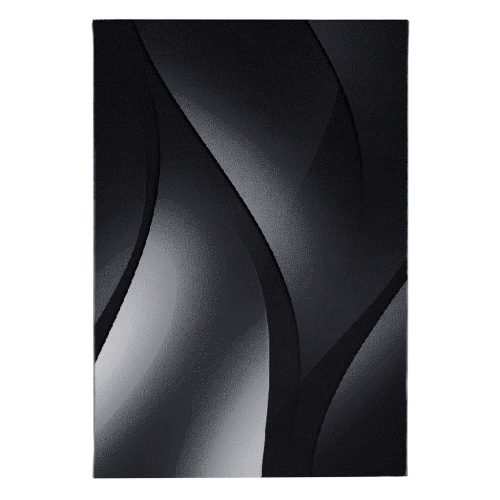 Ay. PLUS 8010 140 x 200 cm crni Moderni tepih