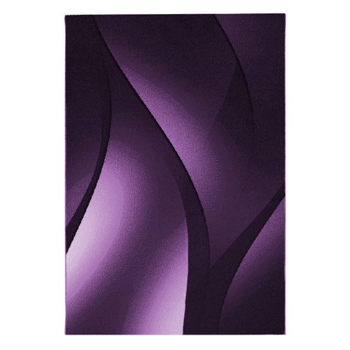  Ay. PLUS 8010 140 x 200 cm ljubičasti moderni tepih